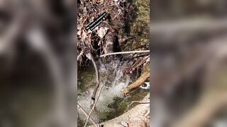 Saffronbacchus (Saffron Bacchus) OnlyFans Leaks Sexy Snaps of Candian Girl 309