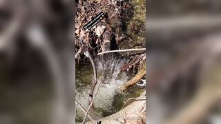 Saffronbacchus (Saffron Bacchus) OnlyFans Leaks Sexy Snaps of Candian Girl 309