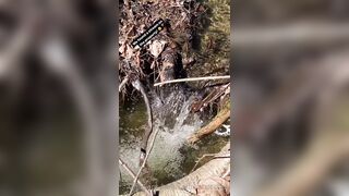 Saffronbacchus (Saffron Bacchus) OnlyFans Leaks Sexy Snaps of Candian Girl 309