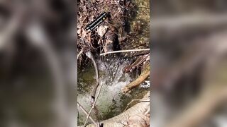 Saffronbacchus (Saffron Bacchus) OnlyFans Leaks Sexy Snaps of Candian Girl 309