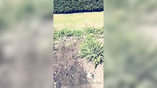 Saffronbacchus (Saffron Bacchus) OnlyFans Leaks Sexy Snaps of Candian Girl 215