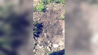 Saffronbacchus (Saffron Bacchus) OnlyFans Leaks Sexy Snaps of Candian Girl 215