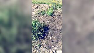 Saffronbacchus (Saffron Bacchus) OnlyFans Leaks Sexy Snaps of Candian Girl 215