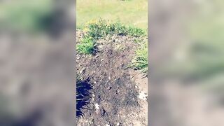 Saffronbacchus (Saffron Bacchus) OnlyFans Leaks Sexy Snaps of Candian Girl 215