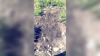 Saffronbacchus (Saffron Bacchus) OnlyFans Leaks Sexy Snaps of Candian Girl 215