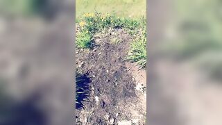 Saffronbacchus (Saffron Bacchus) OnlyFans Leaks Sexy Snaps of Candian Girl 215