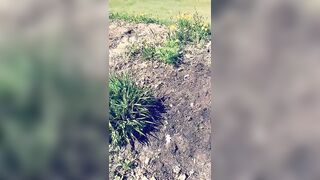 Saffronbacchus (Saffron Bacchus) OnlyFans Leaks Sexy Snaps of Candian Girl 215