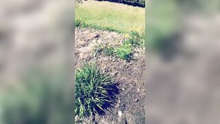 Saffronbacchus (Saffron Bacchus) OnlyFans Leaks Sexy Snaps of Candian Girl 215