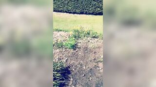 Saffronbacchus (Saffron Bacchus) OnlyFans Leaks Sexy Snaps of Candian Girl 215