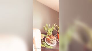 Saffronbacchus (Saffron Bacchus) OnlyFans Leaks Sexy Snaps of Candian Girl 515