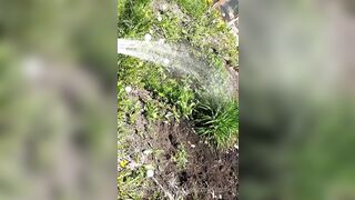 Saffronbacchus (Saffron Bacchus) OnlyFans Leaks Sexy Snaps of Candian Girl 551