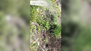 Saffronbacchus (Saffron Bacchus) OnlyFans Leaks Sexy Snaps of Candian Girl 551