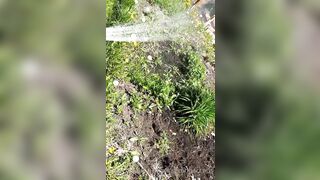 Saffronbacchus (Saffron Bacchus) OnlyFans Leaks Sexy Snaps of Candian Girl 551