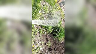 Saffronbacchus (Saffron Bacchus) OnlyFans Leaks Sexy Snaps of Candian Girl 551