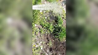 Saffronbacchus (Saffron Bacchus) OnlyFans Leaks Sexy Snaps of Candian Girl 551