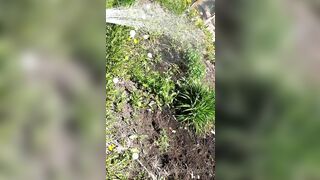 Saffronbacchus (Saffron Bacchus) OnlyFans Leaks Sexy Snaps of Candian Girl 551