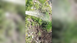 Saffronbacchus (Saffron Bacchus) OnlyFans Leaks Sexy Snaps of Candian Girl 551