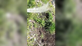 Saffronbacchus (Saffron Bacchus) OnlyFans Leaks Sexy Snaps of Candian Girl 551