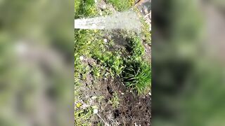 Saffronbacchus (Saffron Bacchus) OnlyFans Leaks Sexy Snaps of Candian Girl 551