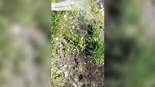 Saffronbacchus (Saffron Bacchus) OnlyFans Leaks Sexy Snaps of Candian Girl 551