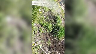 Saffronbacchus (Saffron Bacchus) OnlyFans Leaks Sexy Snaps of Candian Girl 551