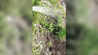 Saffronbacchus (Saffron Bacchus) OnlyFans Leaks Sexy Snaps of Candian Girl 551