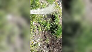 Saffronbacchus (Saffron Bacchus) OnlyFans Leaks Sexy Snaps of Candian Girl 551