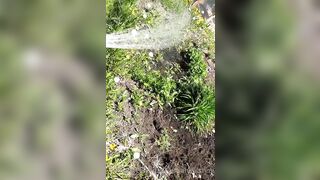 Saffronbacchus (Saffron Bacchus) OnlyFans Leaks Sexy Snaps of Candian Girl 551