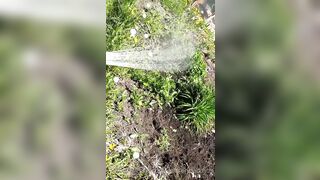 Saffronbacchus (Saffron Bacchus) OnlyFans Leaks Sexy Snaps of Candian Girl 551