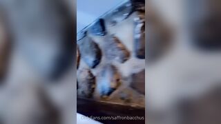 Saffronbacchus (Saffron Bacchus) OnlyFans Leaks Sexy Snaps of Candian Girl 562