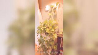 Saffronbacchus (Saffron Bacchus) OnlyFans Leaks Sexy Snaps of Candian Girl 513