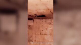 Saffronbacchus (Saffron Bacchus) OnlyFans Leaks Sexy Snaps of Candian Girl 569