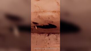 Saffronbacchus (Saffron Bacchus) OnlyFans Leaks Sexy Snaps of Candian Girl 569