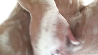 Ellalxox (etitebelle3) OnlyFans Leaks belleolivia3 Blondie Hot Girl 105