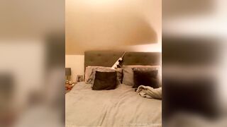 Ellalxox (etitebelle3) OnlyFans Leaks belleolivia3 Blondie Hot Girl 79