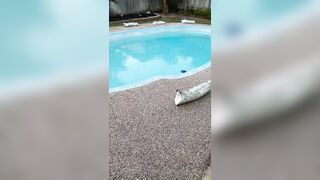 Kristikreamvip (paraprincess77) OnlyFans Leaks Paramedic 45 yo milf 331