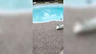 Kristikreamvip (paraprincess77) OnlyFans Leaks Paramedic 45 yo milf 331