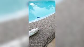 Kristikreamvip (paraprincess77) OnlyFans Leaks Paramedic 45 yo milf 331