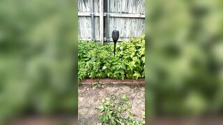 Kristikreamvip (paraprincess77) OnlyFans Leaks Paramedic 45 yo milf 689