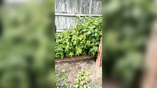 Kristikreamvip (paraprincess77) OnlyFans Leaks Paramedic 45 yo milf 689