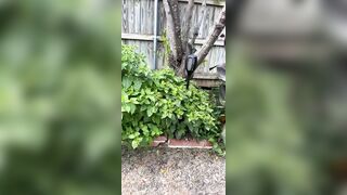 Kristikreamvip (paraprincess77) OnlyFans Leaks Paramedic 45 yo milf 689