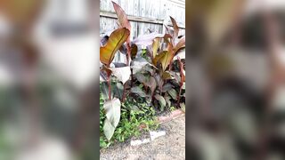 Kristikreamvip (paraprincess77) OnlyFans Leaks Paramedic 45 yo milf 689