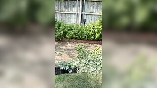 Kristikreamvip (paraprincess77) OnlyFans Leaks Paramedic 45 yo milf 689