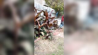 Kristikreamvip (paraprincess77) OnlyFans Leaks Paramedic 45 yo milf 689