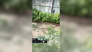 Kristikreamvip (paraprincess77) OnlyFans Leaks Paramedic 45 yo milf 689