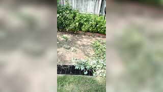 Kristikreamvip (paraprincess77) OnlyFans Leaks Paramedic 45 yo milf 689