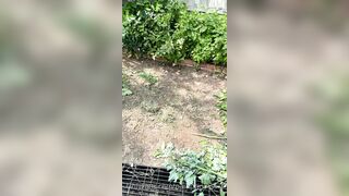 Kristikreamvip (paraprincess77) OnlyFans Leaks Paramedic 45 yo milf 689