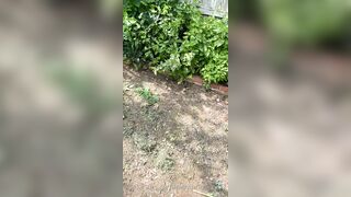 Kristikreamvip (paraprincess77) OnlyFans Leaks Paramedic 45 yo milf 689