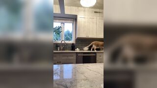 Sweetmargs (Sweet Margs) OnlyFans Leaks Pittsburgh Girl Porn Video 77