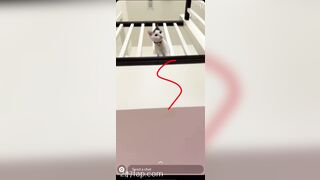 Shion Leaked Asian Amateur Chinese Porn Video 60